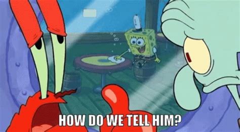 mr krabs who's gonna tell him|More.